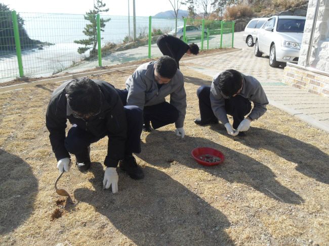 봉사활동