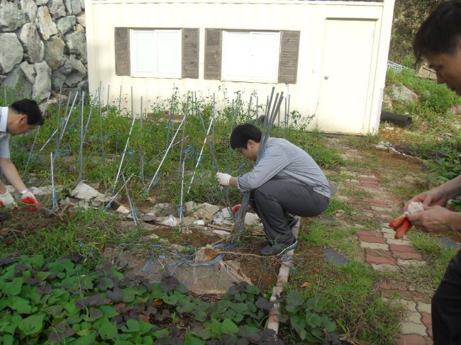 제초작업