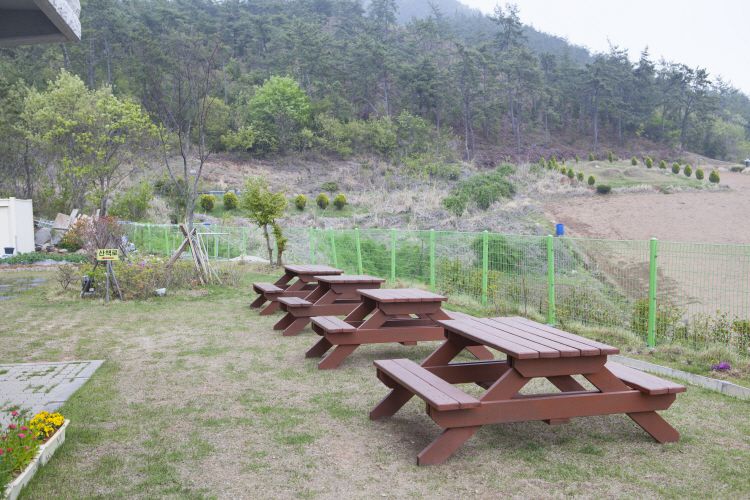 잔디밭 벤치